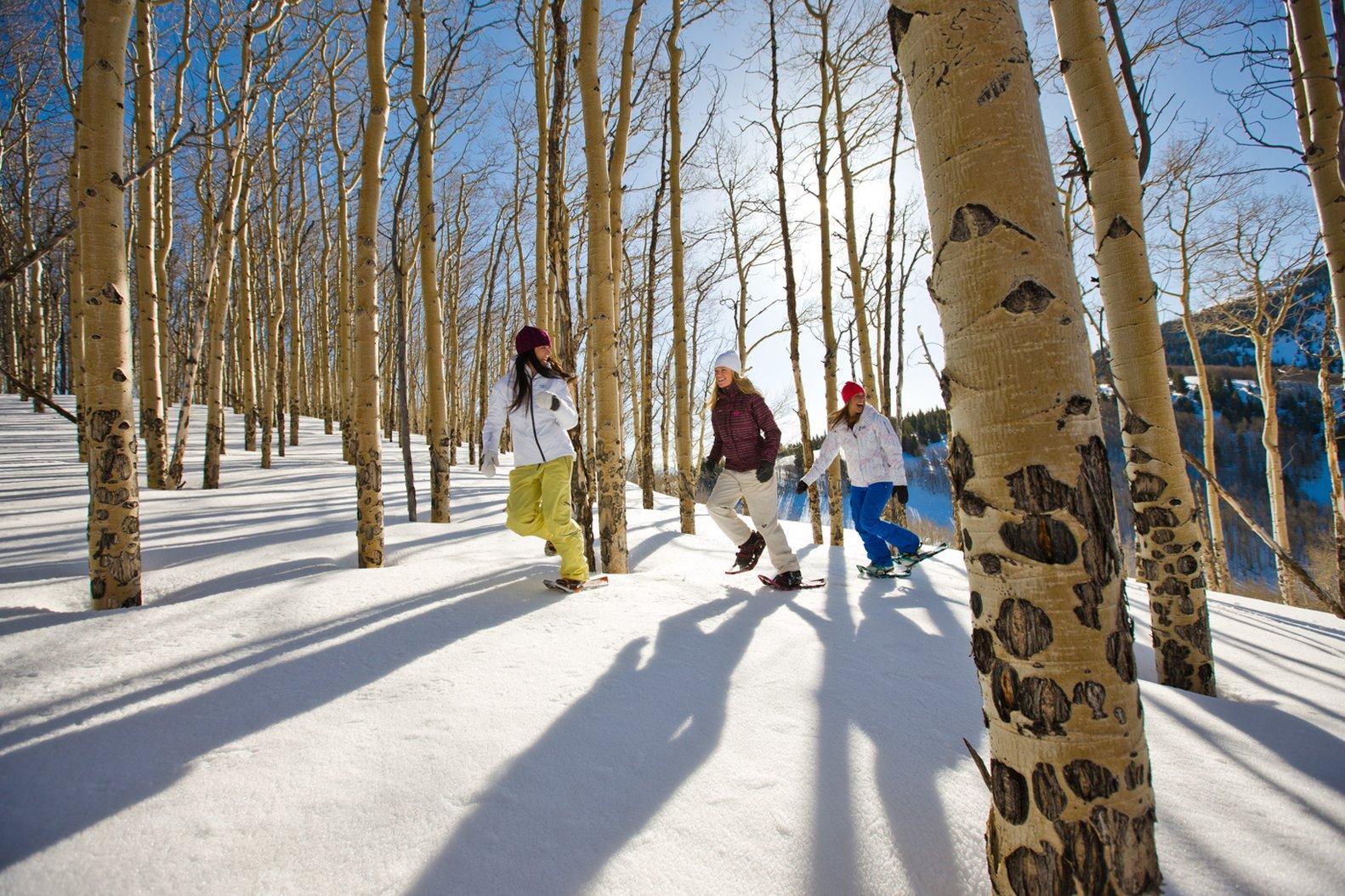 The Christie - Vail Valley/beaver Creek Avon