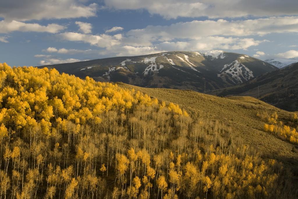 The Christie - Vail Valley/beaver Creek Hotel 3*